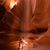Andrew Park Hubbard's profile image
