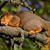 Nancy L. Diemer's profile image