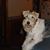 Lavina Smoot Chambers's profile image