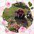 Amber Marie Salmon's profile image