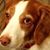 Cathy Gordner's profile image