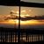 Shelly Roberson's profile image
