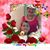 Lucibel Guerra's profile image