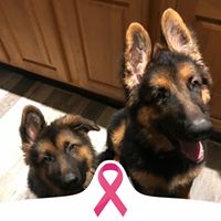 Sharon LeMay's profile image
