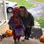 Debbie Watts Watkins's profile image