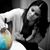 Larissa Esther's profile image