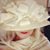 Martha Kittredge Bonti's profile image