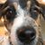 Heather Faris Pankratz's profile image