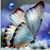 Holva Dalmasi's profile image