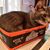 Jill Ferrill Carnell's profile image