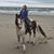 Breana Beck's profile image