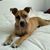 Sandy Williams Reeves's profile image