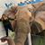 Pricila Macias's profile image