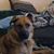Michelle Kemp's profile image