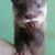 Brian Barber's profile image