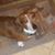 Pearl Rogers's profile image