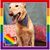 JoeDeidre Brown's profile image