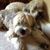 Sandra Pike's profile image