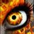 Chris Guitard's profile image