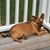 Lisa Kilgore's profile image