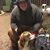 Shamus McClerry's profile image