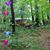Marsha Blaker's profile image