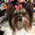 Julie Martin Gause's profile image
