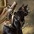 Michelle L De Vries's profile image