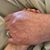 Catherine Emert's profile image