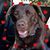 Theresa Ann Marcotte's profile image