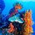 Reba Effler's profile image