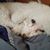 John H. Engel's profile image