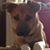Tom Lucas's profile image