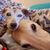 Nancy Perkins Morin's profile image