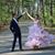 Amy Criswell's profile image