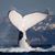 Mike Kaye's profile image