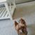 Kitty Brim's profile image