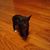 Mary Alsup's profile image