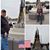 Trina Rock Bousquet's profile image