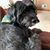 Sharon Holschuh Klysen's profile image