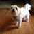 Terrie Sowka Moore's profile image