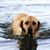 Katie Brown Stafford's profile image