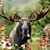 Monica Bay's profile image