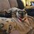 Michelle Watson's profile image