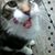 Karen Collins's profile image
