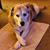 Donna Alles's profile image
