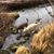 Bob Byers's profile image