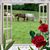 Debbie Corbett's profile image