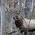 Sandra Asbury-Holowenko's profile image