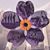 Diran Zack Deukmajian's profile image
